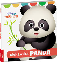 Ciekawska panda