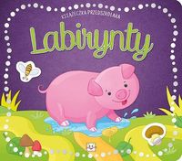 Książeczka przedszkolaka. Labirynty