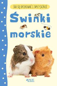 Świnki morskie. Jak się opiekować i zaprzyjaźnić