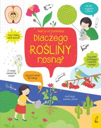 Dlaczego rośliny rosną?