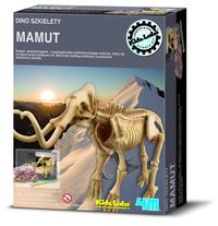 Dino szkielety - Mamut