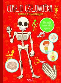 Ciało człowieka. Anatomia dla początkujących