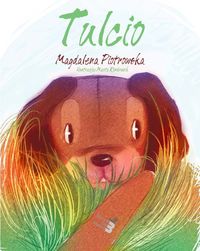 Tulcio