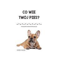 Co wie twój pies? Poznaj sposób rozumienia świata przez psy