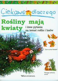 Ciekawe dlaczego... Rośliny mają kwiaty
