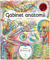 Gabinet anatomii. Zobacz 3 obrazy w 1