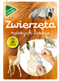Zwierzęta naszych lasów. Zeszyt z kalką