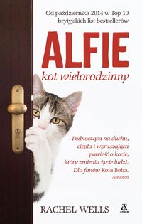 Alfie kot wielorodzinny