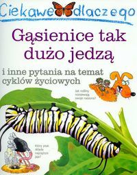 Ciekawe dlaczego... Gąsienice tak dużo jedzą i inne pytania na temat cyklów życieowych