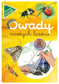 Owady naszych lasów. Zeszyt z kalką