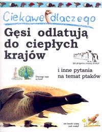 Ciekawe dlaczego... Gęsi odlatują do ciepłych krajów i inne pytania na temat ptaków