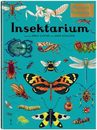 Insektarium. Muzeum Owadów